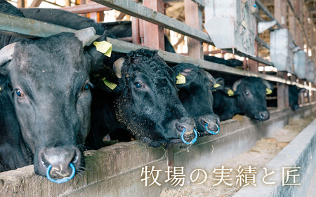 若狭牛 厳選赤身のローストビーフ 500g 【黒毛和牛 和牛 国産牛 赤身 ブロック 牛肉 肉 牛 ロースト ビーフ 国産】 [B-1805]