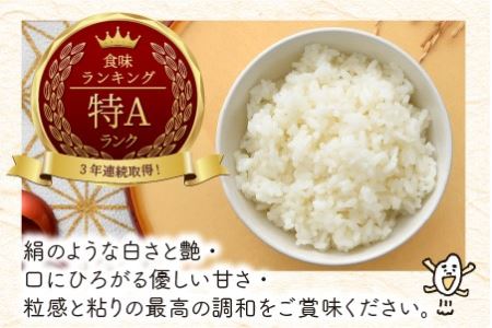 【令和7年産】 福井県のブランド米 いちほまれ 無洗米 10kg （5kg × 2袋）【 無洗米 人気 品種 ブランド米 特A 】 [C-6112]