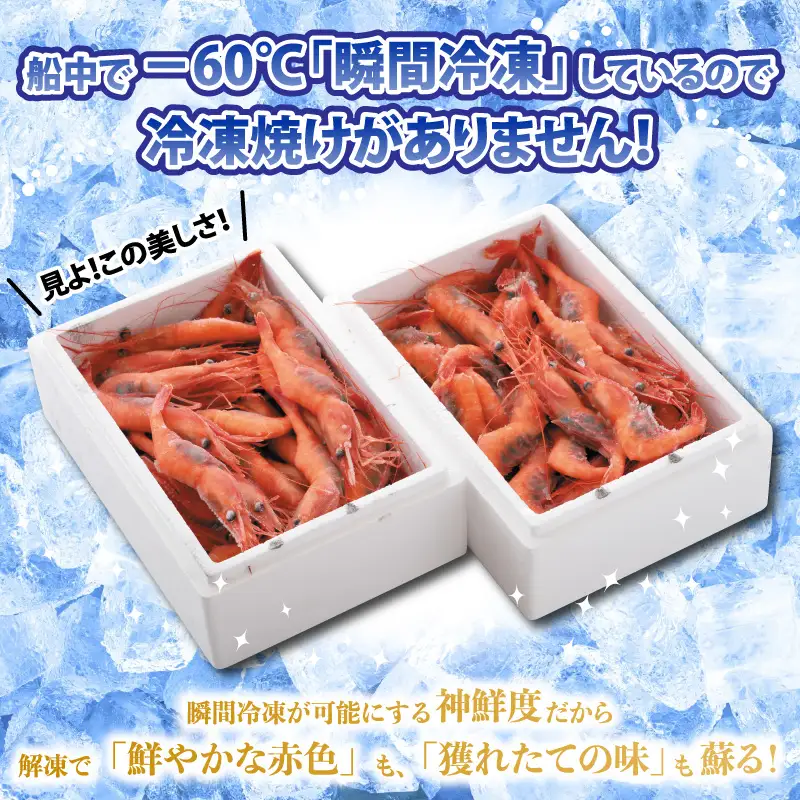 【年3回お届け】甘えび 約1.1㎏ × 3回 合計3.3㎏ 天然・鮮度抜群！ 漁船直送！ 「共栄丸」 絶品甘海老をお届け！【甘海老 甘エビ あまえび アマエビ エビ 刺身 冷凍 産地直送】 [D-2303]