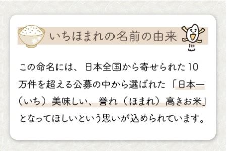 【令和7年産】定期便 ≪3ヶ月連続お届け≫ 福井県のブランド米 いちほまれ 無洗米 5kg × 3回 計15kg 【 無洗米 人気 品種 ブランド米 特A 】 [E-6109] 