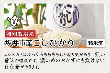 【令和7年産】 お米屋さんのこだわり極上米食べ比べセット 計15kg ～福井県ブランド米いちほまれ入り～ 【 人気 品種 ブランド米 特A 】 [E-6105]