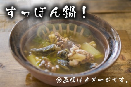 キャンプにバーベキューに「すっぽんバーベキュー！」 ワイルドにスッポンを食べてみませんか？ [C-6401]