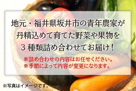 若狭牛焼肉 赤身三種 食べ比べセット ～地元青年農家の野菜・果物付き～ [D-1803]
