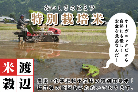 【令和7年産】（白米）特別栽培米 コシヒカリ匠 20kg (2kg × 10袋) 栽培期間中農薬不使用 / コシヒカリ こしひかり 白米 お米[J-2913_01]