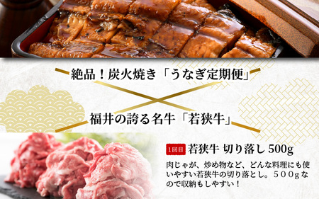【定期便 6回コース】 蒲焼き鰻 と 肉の鉄板コース 定期便 【うなぎ＆若狭牛】【牛肉 牛 国産牛 国産 和牛 お肉 ブランド牛 焼肉 鰻のかば焼き ウナギ 黒毛和種 黒毛和牛 A4等級クラス 人気】 [I-3201]