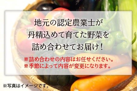 若狭牛特上焼肉 食べ比べセット 『おまかせ部位 約2kg』 ～地元農家の野菜付き～ [J-1806]