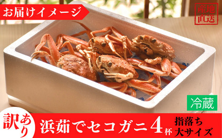 《先行予約》【訳あり】 浜茹で セコガニ 香住産 大サイズ 4匹入り 【令和8年11月中旬以降発送予定】 カニ  19-10