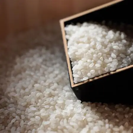 無洗米広島県産コシヒカリ10kg【1294707】