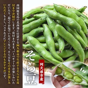 訳あり！鹿児島県阿久根市産そら豆(4kg) 野菜 旬 春野菜 訳アリ 国産 鹿児島県産 阿久根市産 そら豆 ソラマメ おつまみ【黒坂青果】akn049-03