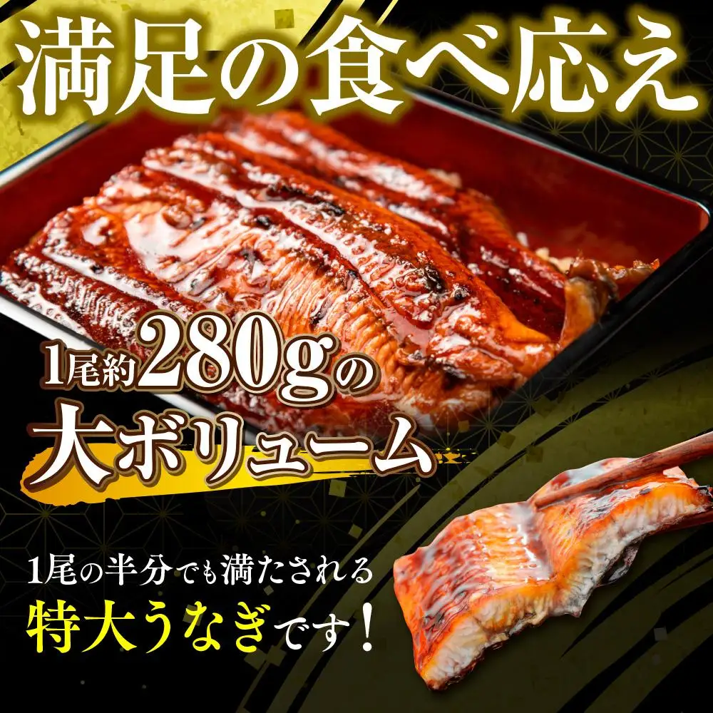 うなぎの蒲焼3尾 タレ付き（2本） YZ002 