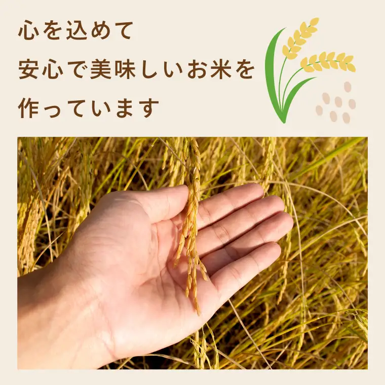 【令和７年産】加須市産　彩のきずな　精米10kg