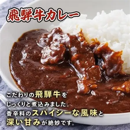飛騨牛入り製品詰め合わせ(カレーとハンバーグ)【2種6食セット】【配送不可地域：離島】【1213291】