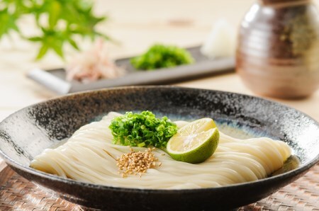 小川の稲庭うどん V-40 稲庭うどん 稲庭うどん 【(株)稲庭うどん小川】[B1-0501]