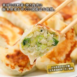 素材にこだわった自家製冷凍餃子【食品 加工食品 人気 おすすめ 】
