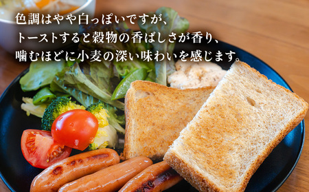 北海道産全粒粉食パン　3斤×2本【配送不可地域：離島・沖縄県】