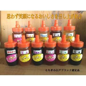 国産非加熱蜂蜜150ｇ3本セット【ハニー 蜂蜜 食品 人気 おすすめ 】