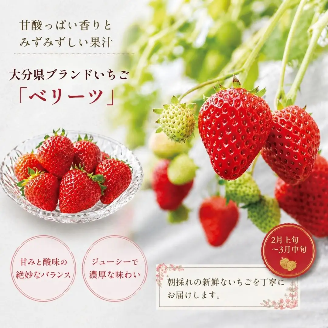 【3回定期便】旬のフルーツ食べ比べ（シャインマスカット・イチゴ・不知火）
