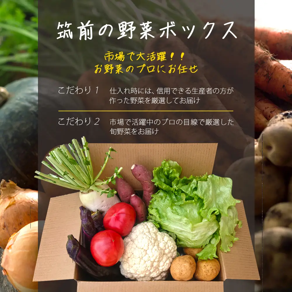 筑前のお野菜4～7種類【3カ月定期便】【B3-072】