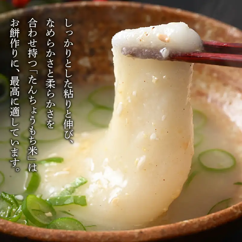 【令和7年産】たんちょうもち米 1.5kg×3袋（計4.5kg）精米 ≪希少！お餅作りに最良≫ ／ 餅 タンチョウ 餅つき 丸餅 柏餅 [aw064-a020]