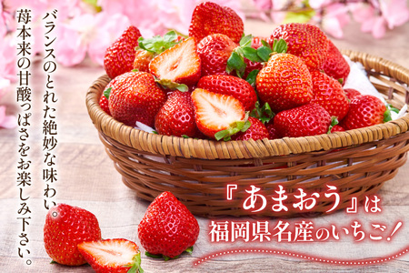 【期間限定発送】いちご あまおう 4パック いちご [21760096]
