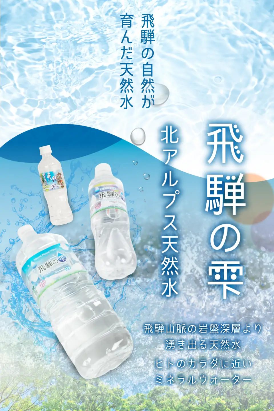 定期便 6か月 天然水 飛騨の雫 500ml×48本 (2ケース) | 定期便 JS102