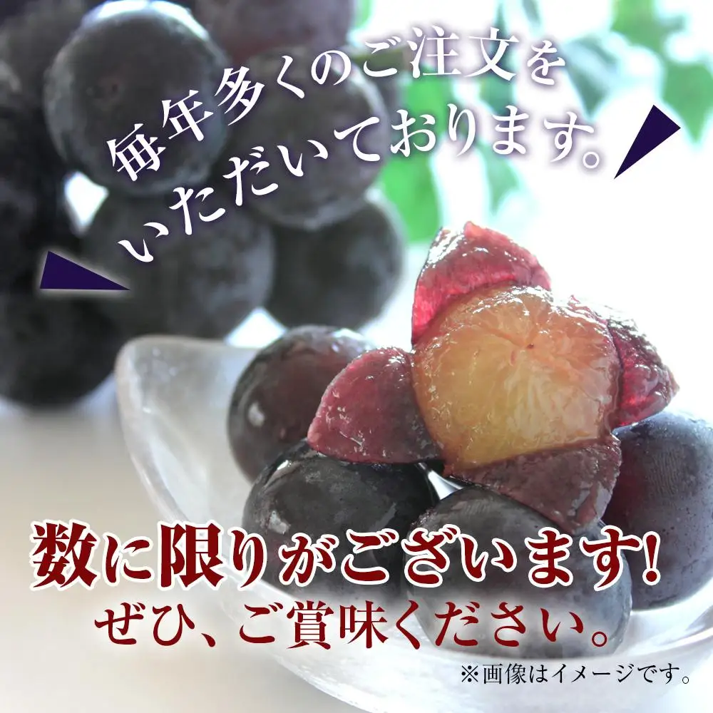 ぶどう 巨峰 栃木市藤岡町産 1kg【フルーツ 果物 くだもの 食品 人気 おすすめ 】