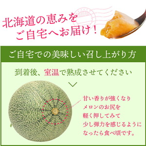 北海道石狩産 赤果肉メロン2玉 計3.2kg以上｜メロン フルーツ 果物 北海道 石狩市