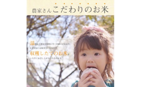 S050-008A_【令和7年産】コシヒカリ 玄米 5kg