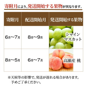 三豊市フルーツ2回お届け定期便E