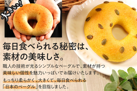 ベーグル 10種セット 国産小麦ベーグル