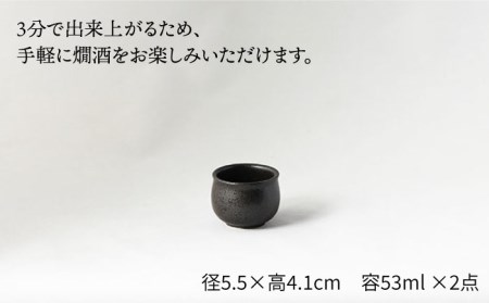 【美濃焼】＜お好みの温度でお酒を楽しむ＞酒燗器 盃2個セット 黒【山淳製陶所】【TOKI MINOYAKI返礼品】食器 徳利 お猪口 冷酒 熱燗 とっくり おちょこ ぐい呑み ぐいのみ 酒器 黒 ブラック 送料無料   [MAP002]