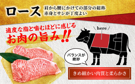 飛騨牛 A5ランク ステーキ (300g〜400g相当×2枚) 【マルゴー】和牛 牛肉 お取り寄せ  [MBE001]
