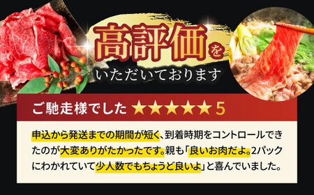 飛騨牛 切り落とし500g(250g×2) A5飛騨牛【マルゴー】[MBE002]