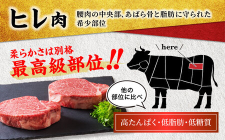 【6回定期便】飛騨牛 ヒレステーキ 180g×5枚【マルゴー】岐阜県産 和牛 鉄板焼き[MBE013]
