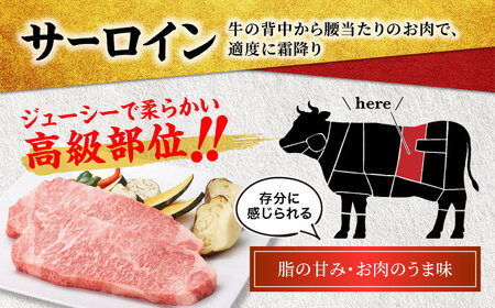 【3回定期便】飛騨牛 サーロインステーキ 400g×2枚【マルゴー】牛肉 冷凍 銘柄牛[MBE021]