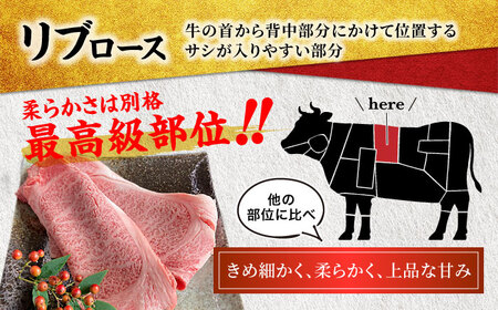 飛騨牛 リブロースすきやき用 600g A5飛騨牛【マルゴー】[MBE033]