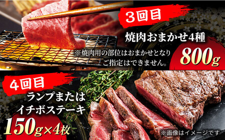 【6回定期便】飛騨牛 贅沢定期便コース【マルゴー】和牛 サーロインステーキ 焼肉[MBE037]