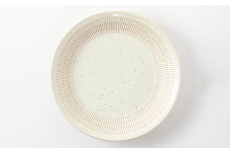 【美濃焼】軽量トチリ プレートボウルセット【陶土う庵】（1054-0102）食器 皿 鉢 パスタ皿 カレー皿 サラダボウル メインディッシュ ランチ ディナー ペア 夫婦 カップル ホワイト ブルー カフェ風 シンプル おしゃれ レンジ対応 送料無料 [MBY004]