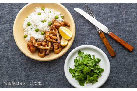 【美濃焼】DINING プレートセット ホワイト【ZERO JAPAN】 食器 うつわ カレー皿 パスタ皿 ケーキ皿  皿 ワンプレート ランチ プレート 美濃焼 おしゃれ 食器セット お皿セット 陶器 パスタ サラダ 食器 国産 送料無料 [MBR081]