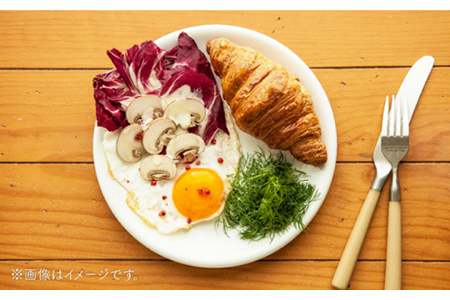 【美濃焼】DINING プレートセット ココナッツ【ZERO JAPAN】 食器 うつわ カレー皿 パスタ皿 ケーキ皿  皿 ワンプレート ランチ プレート 美濃焼 おしゃれ 食器セット お皿セット 陶器 パスタ サラダ 食器 国産 送料無料 [MBR082]