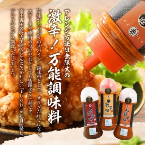 ドレッシング ソース 激辛味 3種 セット 各200ｇ 詰め合わせ 名物 焼肉のたれ 調味料 旨辛 キャンプ