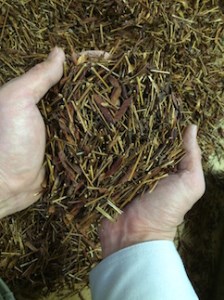 E063 カワラケツメイ茶茶葉　100g　2個セット