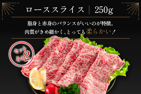 ＜肉質等級4等級＞宮崎牛 4種 食べ比べ スライス セット（各250g×4パック）合計1kg 国産 肉 牛肉 ご飯 おかず【D118-2510-90】