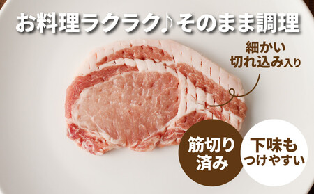 贅沢宮崎県産豚肉ロース100gカット30枚_K16_0018_3
