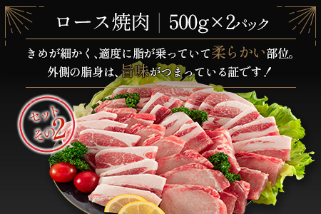 宮崎県産豚 3種 食べ比べ 焼肉 セット（500g×6パック）計3kg 国産 肉 豚肉 ご飯 おかず BBQ 焼き肉【C370-2510-90】