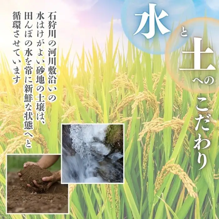 令和7年産 ななつぼし 精米 10kg【牧野農産】お米 北海道産米 特Aランク 国産 白米 コメ 2025年産 北海道 比布町 ぴっぷ 1014-005