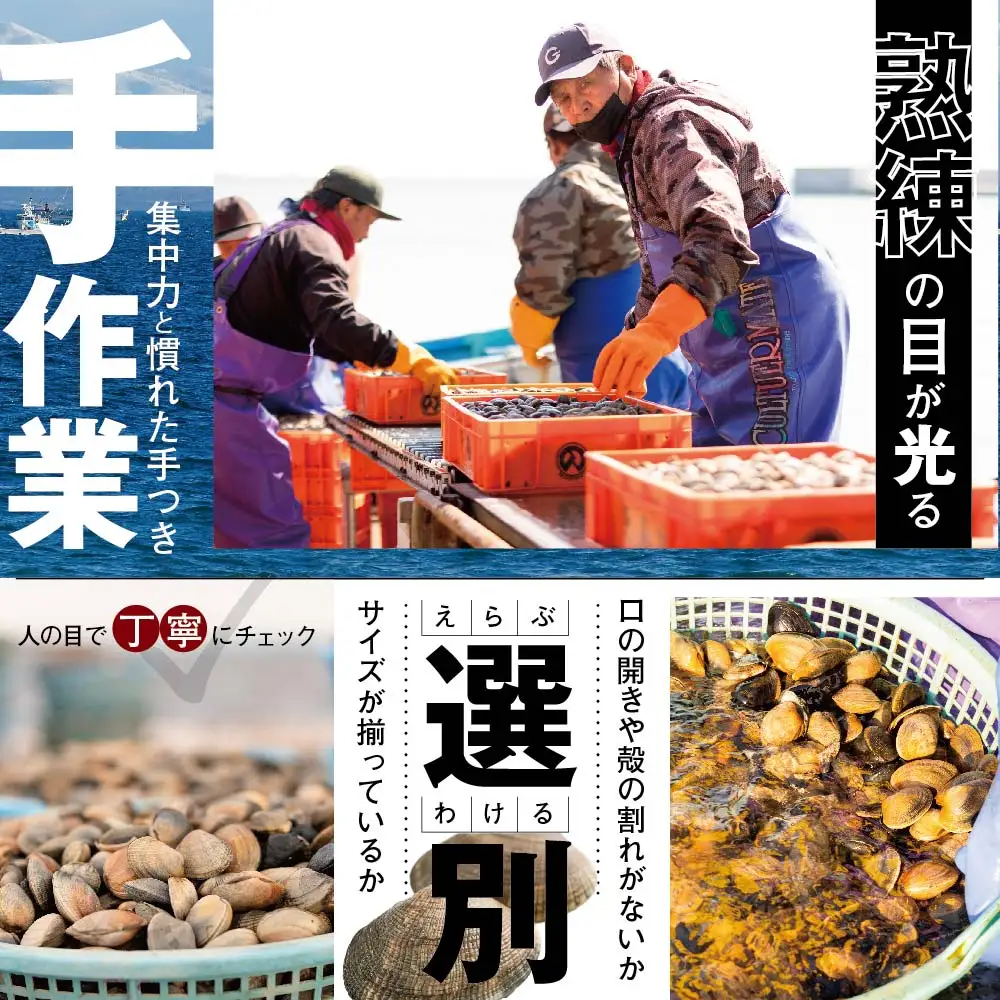 北海道産 野付産 大粒 天然 活あさり 4kg前後 北海道 別海町 大粒 野付