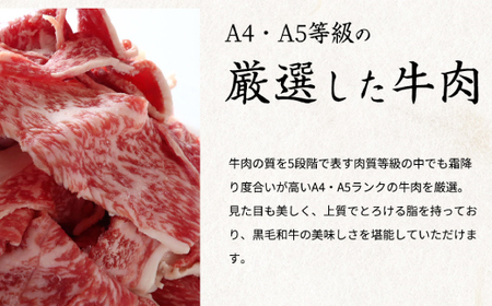 熊野牛 A4以上 霜降り 赤身 こま切れ 500g【uot747】