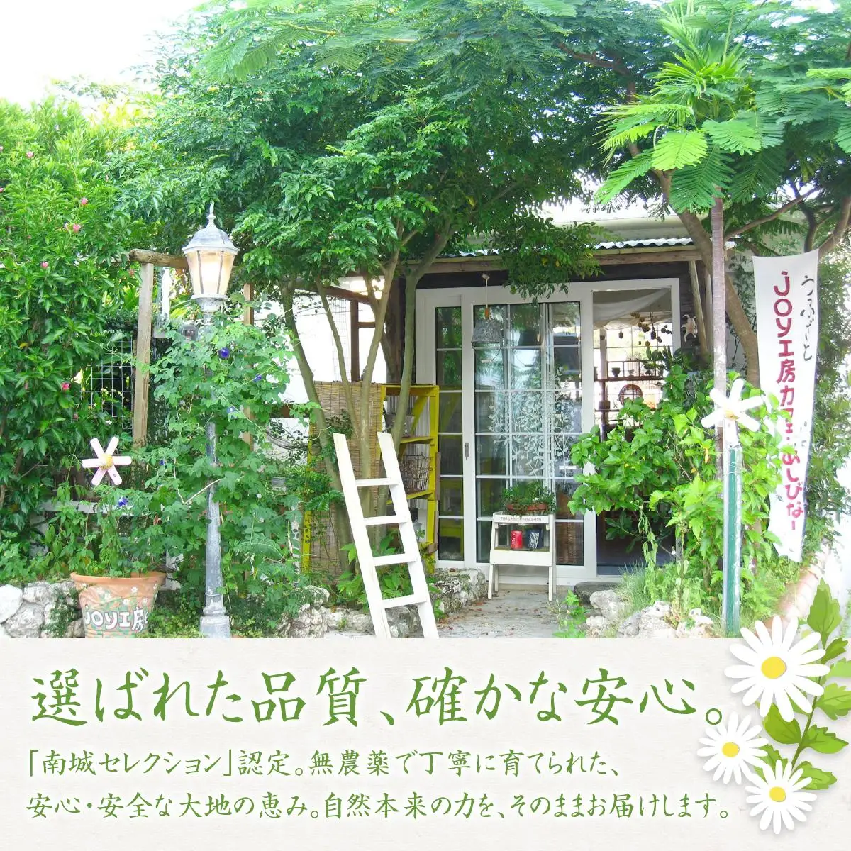 さし草商品詰め合わせ3点セット   