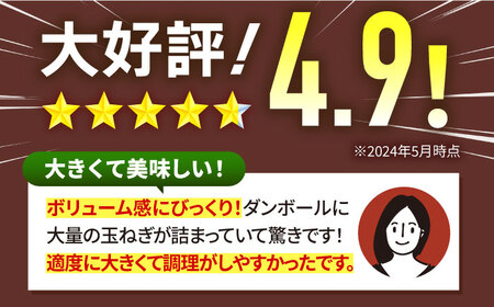 【2026年5月中旬以降発送】白石産たまねぎ 10kg / たまねぎ 玉ねぎ [IAK011]